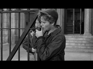 school jungle (1955) - drama. richard brooks 720p