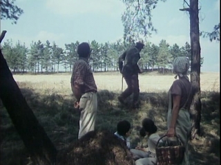 on a farm near the forest (1976) - tragi comedy. jiri menzel