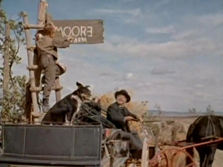 the proud rebel (1958) - western. michael curtiz 720p