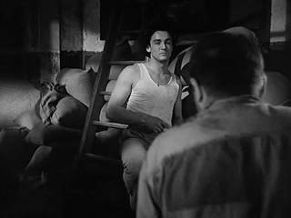 bitter rice (1949) - drama. giuseppe de santis