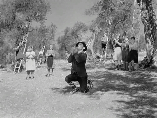 there is no world under the olives (1950) - drama. giuseppe de santis