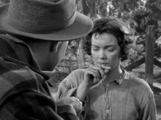 johnny belinda (1948) - drama. jean negulesco