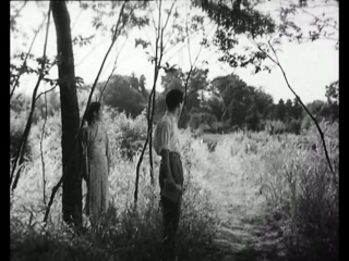 the lady from musashino (1951) - drama. kenji mizoguchi