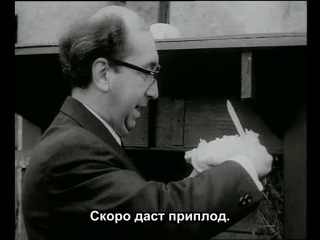 garden (1968) - short. jan shvankmajer